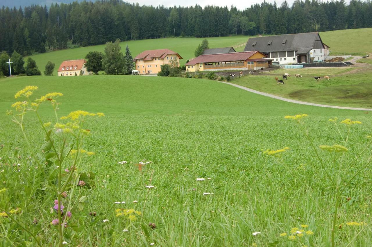 Mariahof Ferienhaus Wohleser المظهر الخارجي الصورة